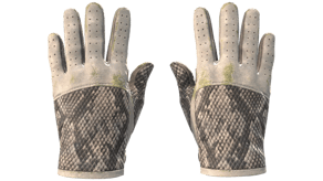 King Snake image