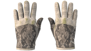 King Snake image