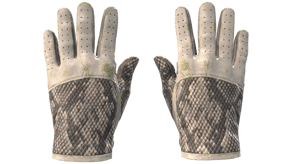 King Snake image