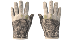 King Snake image