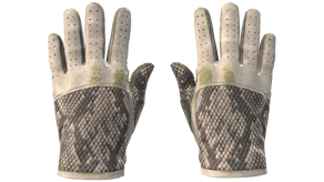 King Snake image