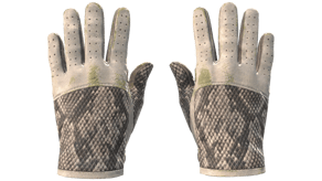 King Snake image