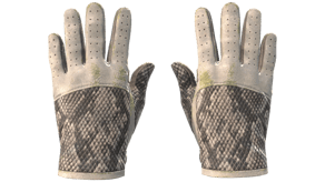King Snake image