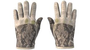 King Snake image