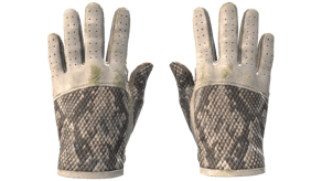 King Snake image