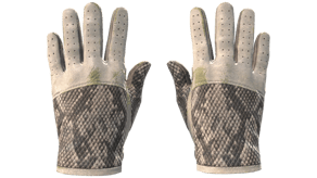 King Snake image