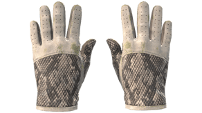 King Snake image
