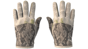 King Snake image
