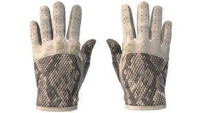 King Snake image