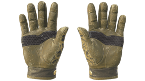 Queen Jaguar image