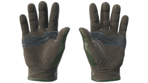 Racing Green image