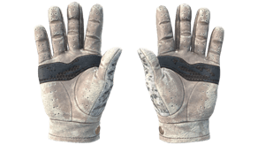 Snow Leopard image
