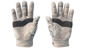 Snow Leopard image