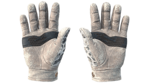 Snow Leopard image