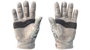 Snow Leopard image