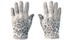 Snow Leopard image