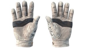 Snow Leopard image