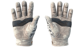 Snow Leopard image
