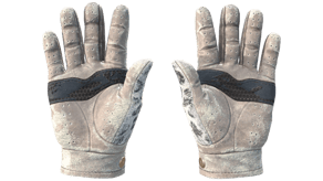 Snow Leopard image
