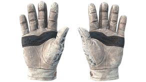 Snow Leopard image