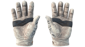 Snow Leopard image