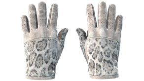 Snow Leopard image