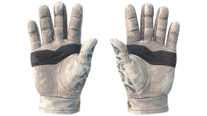 Snow Leopard image