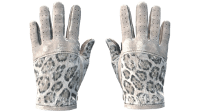 Snow Leopard image