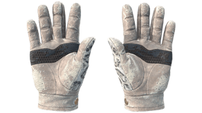 Snow Leopard image