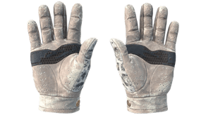 Snow Leopard image