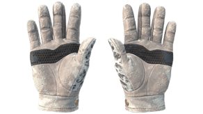 Snow Leopard image
