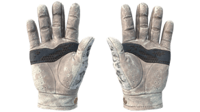 Snow Leopard image