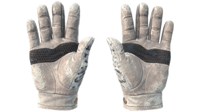 Snow Leopard image