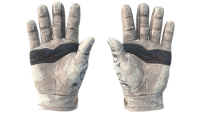 Snow Leopard image
