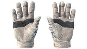 Snow Leopard image