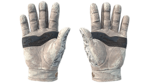 Snow Leopard image