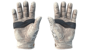 Snow Leopard image