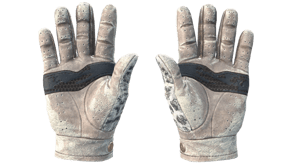 Snow Leopard image