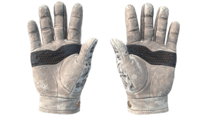 Snow Leopard image