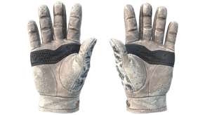Snow Leopard image