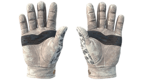 Snow Leopard image