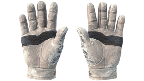 Snow Leopard image