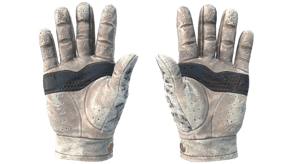 Snow Leopard image