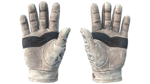 Snow Leopard image