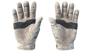 Snow Leopard image