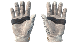 Snow Leopard image