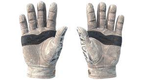 Snow Leopard image
