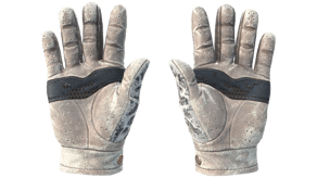 Snow Leopard image