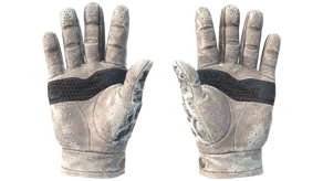 Snow Leopard image