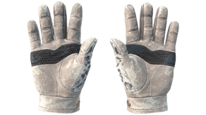 Snow Leopard image